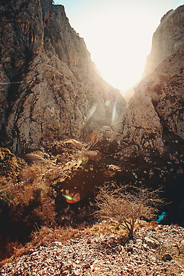 포토 JPG 해외이미지 주간 자연 휴식 바위산 풍경 사람없음 야외 햇빛 태양 평화 풀 경관 해외포토 자연요소 식물 컨셉 돌산 생태계 파일형식 이미지허브