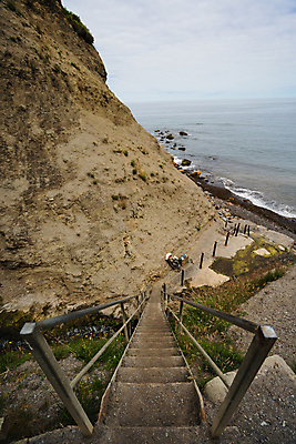 포토 JPG 해외이미지 구름 라이프스타일 꽃 길 모래 바다 여행 꽃무늬 자연 갈매기 조류 하늘 영국 잉글랜드 풍경 사람없음 초록색 물 여름 파란색 햇빛 태양 노란색 걷기 수영 봄 하이킹 흰색 시골 신선 가장자리 요크셔테리어 밀 단계 내추럴 해외포토 자연요소 식물 동물 계절 유럽 컬러 무늬 모션 레저 곡류 생활 수상스포츠 둘레 테리어 생태계 파일형식 이미지허브