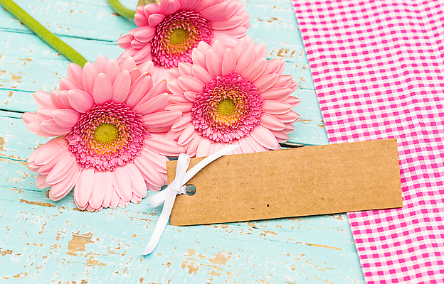 포토 JPG 해외이미지 꽃잎 꽃 분홍색 탁자 선물 사람없음 목재 장식 파란색 꼬리표 라벨 공백 벚꽃 인사 신용카드 다발 사인 파스텔톤 해외포토 나무 식물 컬러 가구 재료 프레임 금융 예절 파일형식 이미지허브