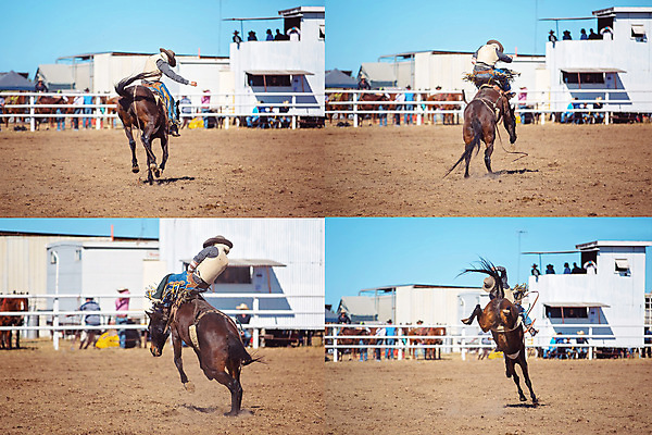 포토 JPG 해외이미지 동물 남자 밧줄 스포츠 포즈 모션 부츠 이벤트 사람없음 달러 점프 가축 경쟁 경기장 공연 시골 자신감 거친 승마 카우보이 호주 승차 주식 위험 속도 먼지 로데오 라이더 서쪽 어려움 오지 해외포토 감정 줄 신발 컨셉 돈 스포츠시설 사람 금융 오세아니아 방향 파일형식 이미지허브
