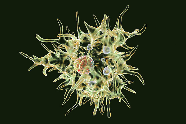 포토 JPG 해외이미지 과학 백그라운드 일러스트 생물 세포 건강 사람없음 약 3D 질병 유기농 생물학 감염 미생물 박테리아 기생충 고립 해외일러스트 웰빙 교육 의학 바이러스 디지털합성 파일형식 이미지허브