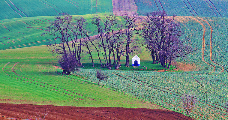 포토 JPG 해외이미지 나무 유럽 야생동물 여행 밭 자연 벽지 휴가 파노라마 그림자 사람 풍경 사람없음 야외 초록색 여름 컬러풀 태양 와인 맑음 놀람 봄 산책로 언덕 만족 그림 지역 체코 남쪽 공화국 토스카나 모라비아 해외포토 자연요소 식물 동물 계절 감정 나라 길 컬러 농업 날씨 주류 촬영기법 표정 이탈리아 방향 생태계 파일형식 이미지허브