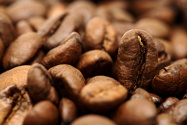 포토 JPG 해외이미지 커피 음료 음식 백그라운드 재료 콩 씨앗 사람없음 갈색 검은색 어둠 에너지 신선 낟알 굽기 아로마 에스프레소 내추럴 고립 아라비카 아랍어 카페인 해외포토 식물 컬러 곡류 구이 파일형식 이미지허브