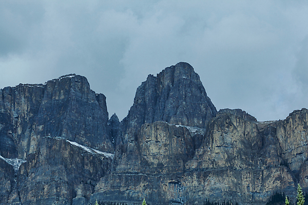 포토 JPG 해외이미지 나무 얼굴 여행 캐나다 자연 산 풍경 사람없음 계곡 미국 하이킹 황무지 콜롬비아 숲 위험 북쪽 내추럴 밴프 앨버타 지질학 해외포토 식물 교육 컨셉 북아메리카 레저 신체부위 남아메리카 방향 생태계 파일형식 이미지허브