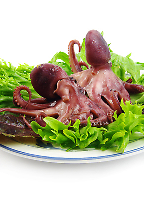 포토 JPG 해외이미지 동물 접시 음식 바다 패턴 다이어트 자연 파슬리 나선형 건강 육류 어류 요리 사람없음 빨간색 보라색 수중 식사 샐러드 추위 흰색 신선 고급 상추 먹기 해산물 준비 날것 문어 점심식사 삶기 해외포토 식기 컬러 컨셉 무늬 채소 식재료 모션 연체동물 수중동물 생태계 파일형식 이미지허브