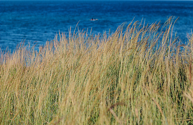 포토 JPG 해외이미지 구름 공원 파도 바다 섬 여행 백그라운드 태국 자연 하늘 휴가 풍경 사람없음 야외 물 여름 파란색 태양 일몰 바위 흰색 떨어짐 내추럴 전국 스플래쉬 수평선 해외포토 자연요소 계절 공공시설 아시아 컬러 컨셉 노을 돌_바위 생태계 파일형식 이미지허브