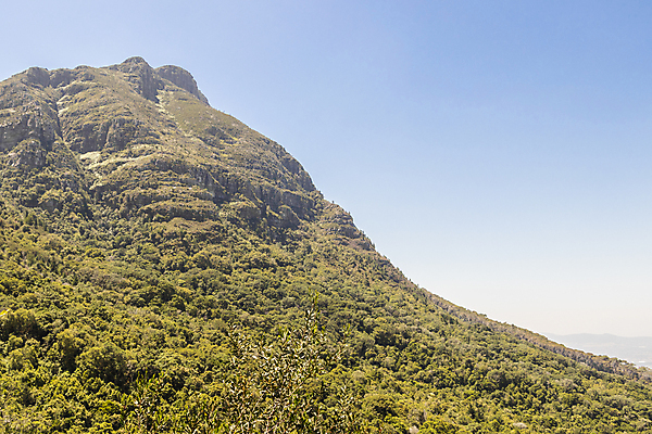 포토 JPG 해외이미지 나무 구름 공원 여행 자연 하늘 산 파노라마 풍경 사람없음 야외 초록색 여름 파란색 계곡 산책로 하이킹 가을 숲 언덕 내추럴 남아프리카 절정 케이프타운 해외포토 자연요소 식물 계절 공공시설 길 컬러 아프리카 레저 촬영기법 생태계 남아프리카공화국 파일형식 이미지허브
