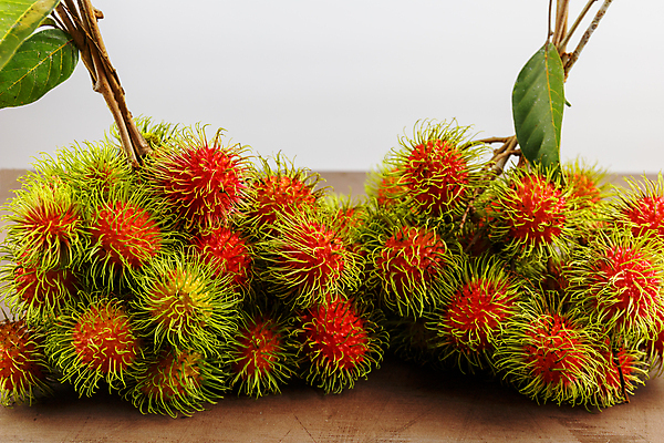 포토 JPG 해외이미지 식물 계절 아시아 음식 줄기 잎 과일 태국 자연 탁자 디저트 건강 동양인 사람없음 목재 빨간색 초록색 활발 수확 흰색 신선 달콤 맛 인스턴트 다발 열대과일 유기농 질감 흙더미 내추럴 숙성 이국적 특별함 많음 카피스페이스 해외포토 나무 웰빙 나라 컬러 가구 컨셉 농업 재료 인종 흙 공백 생태계 파일형식 더미 이미지허브