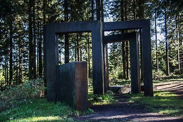 포토 JPG 해외이미지 나무 조각 하늘 잔디 사람없음 초록색 파란색 갈색 숲 공터 천연기념물 신발장 해외포토 식물 컬러 파일형식 이미지허브