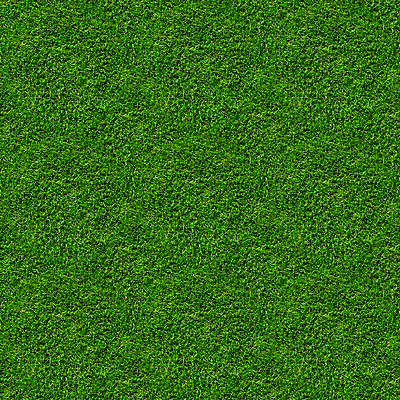 포토 JPG 해외이미지 식물 디자인 공원 스포츠 백그라운드 잎 패턴 밭 골프 자연 벽지 추상 풍경 잔디 사람없음 야외 초록색 여름 우주 환경 정원 축구 카펫 성장 신선 땅 질감 내추럴 땅바닥 해외포토 계절 공공시설 컬러 무늬 농업 바닥 구기 생태계 파일형식 이미지허브
