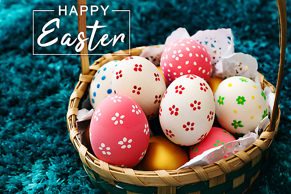 포토 JPG 해외이미지 나무 전통 계절 꽃 행복 어린이 음식 인형 백그라운드 가족 휴가 서기 이벤트 사람없음 목재 장식 초록색 파란색 컬러풀 노란색 보라색 검은색 축제 페인트 봄 축하 토끼 작음 심볼 유기농 부활절계란 사냥 카피스페이스 해외포토 식물 웰빙 감정 컬러 컨셉 재료 포유류 관계 모션 부활절 사람 반려동물 계란 공백 크기 파일형식 이미지허브