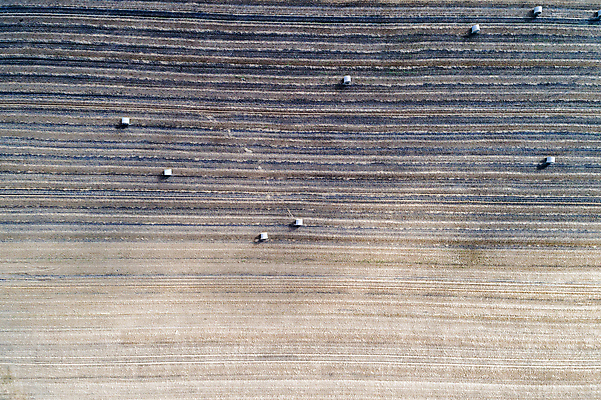 포토 JPG 해외이미지 산업 음식 빵 밭 농업 자연 안테나 풍경 사람없음 야외 여름 농작물 농장 농경지 노란색 쌓기 기계 장비 수확 성장 시골 황금 농부 낟알 땅 시리얼 밀 보리 밀짚 드론 밭일 조감도 해외포토 직업 계절 컬러 통신 모션 곡류 짚 생태계 파일형식 이미지허브