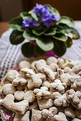 포토 JPG 해외이미지 전통 접시 꽃 유럽 음식 백그라운드 크리스마스 디저트 요리 사람없음 쿠키 주방 빵집 견과류 신선 달콤 맛 잼 가루 설탕 굽기 질감 반죽 호두 레시피 버터 성분 토막 바닐라 세르비아 핸드메이드 해외포토 식물 식기 기념일 나라 컨셉 상점 소스_음식 구이 파일형식 이미지허브