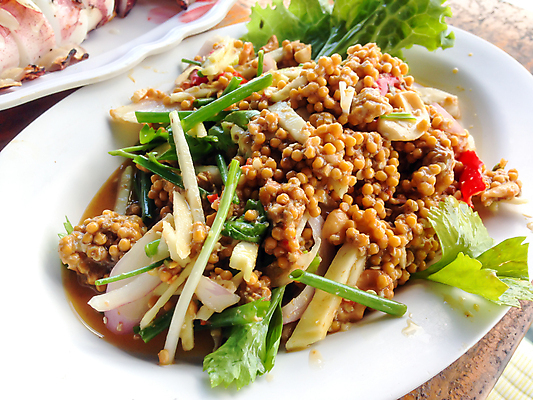 포토 JPG 해외이미지 음식 다이어트 건강 요리 사람없음 식사 샐러드 신선 그릴 혼합 바비큐 굽기 먹기 매움 섞기 영양분 위생관리 해외포토 모션 주방용품 관리 맛 구이 파일형식 이미지허브