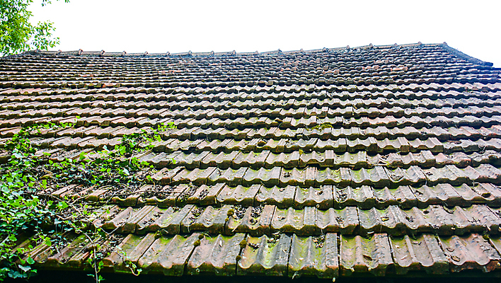 포토 JPG 해외이미지 식물 바다 백그라운드 과일 디저트 산 사람없음 모래언덕 자연백그라운드 해외포토 음식 자연 언덕 파일형식 이미지허브