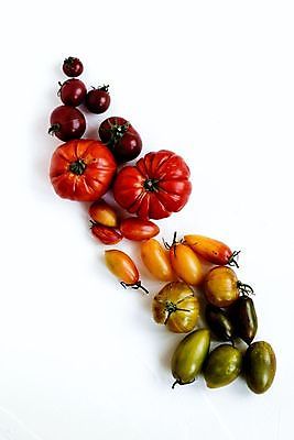 포토 JPG 해외이미지 식물 음식 백그라운드 잎 농업 다이어트 토마토 채소 과일 재료 자연 건강 요리 사람없음 빨간색 초록색 빛 식사 활발 샐러드 성장 흰색 신선 원형 시장 맛 케첩 먹기 오브젝트 싱글 유기농 원예 날것 내추럴 고립 숙성 영양분 채식주의자 해외포토 도형 웰빙 산업 컬러 컨셉 모션 취미 소스_음식 생태계 채식 파일형식 이미지허브