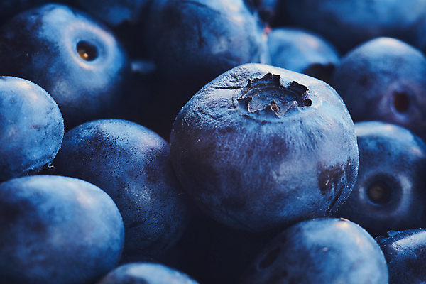 포토 JPG 해외이미지 디자인 열매 음식 백그라운드 다이어트 과일 자연 디저트 건강 사람없음 파란색 검은색 신선 달콤 먹기 유기농 질감 블루베리 날것 흙더미 고립 숙성 채식주의자 해외포토 식물 웰빙 컬러 모션 흙 맛 생태계 채식 파일형식 더미 이미지허브