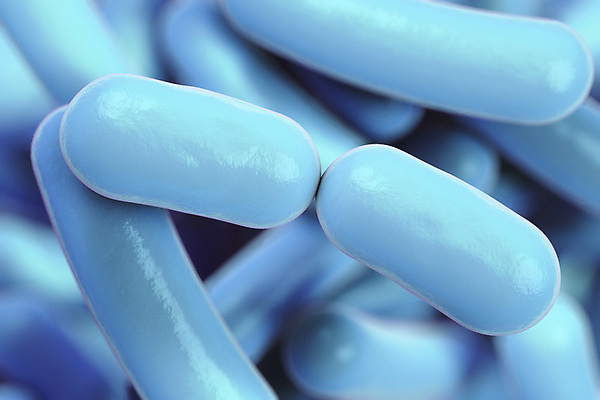 포토 JPG 해외이미지 과학 백그라운드 일러스트 생물 세포 건강 현미경 사람없음 약 3D 고통 질병 생물학 전자 감염 미생물 요거트 박테리아 스캔 요구르트 전염병 많음 해외포토 교육 감정 컨셉 의학 유제품 실험기구 디지털합성 파일형식 이미지허브