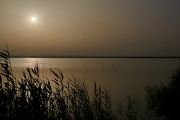 포토 JPG 해외이미지 라이프스타일 공원 유럽 호수 여행 자연 조류 하늘 아침 산 파노라마 사랑 풍경 사람없음 야외 초록색 물 여름 파란색 태양 반사 평화 일출 계곡 침묵 고요 일몰 봄 젖음 안개 나뭇가지 연못 숲 브런치 석호 뿌연 전국 해외포토 주간 자연요소 나무 동물 계절 공공시설 감정 나라 컬러 컨셉 날씨 촬영기법 생활 노을 식사 소리 생태계 파일형식 이미지허브