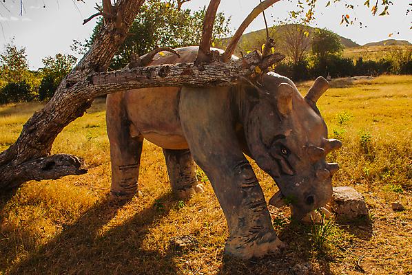 포토 JPG 해외이미지 동물 모델 디자인 공원 백그라운드 패턴 통신 자연 봉투 산 사람없음 세계 계곡 수확 골동품 역사 재산 편지 수집 공룡 그림 복고 쿠바 멸종 멸종위기동물 선사시대 원시시대 우표 취소 매머드 옛날 전국 편지쓰기 해외포토 공공시설 무늬 농업 파충류 금융 기록 중앙아메리카 생태계 파일형식 멸종위기종 이미지허브