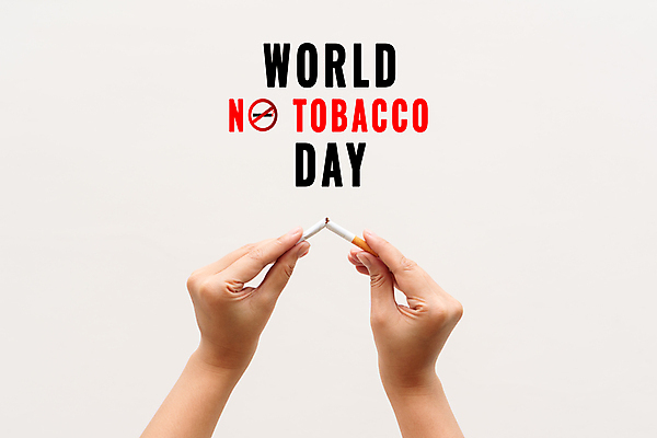 포토 JPG 해외이미지 스튜디오촬영 손 들기 타이포그라피 신체부위 공익캠페인 자르기 금연 담배꽁초 금연데이 끊어짐 해외포토 문자 기념일 캠페인 모션 담배 실내 사람 사회이슈 파일형식 이미지허브