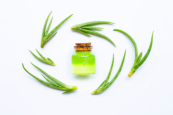 포토 JPG 해외이미지 스튜디오촬영 실내 사람없음 화장품 흰배경 알로에 해외포토 식물 백그라운드 내부 뷰티 흰색 파일형식 이미지허브