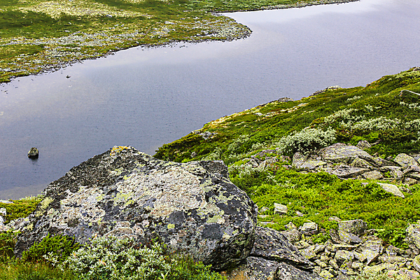 포토 JPG 해외이미지 구름 호수 여행 자연 날씨 산 파노라마 노르웨이 풍경 사람없음 야외 초록색 강 트래킹 폭포 하이킹 안개 정상 언덕 암초 뿌연 숨기 스칸디나비아 원정 절정 해외포토 자연요소 유럽 컬러 모션 레저 촬영기법 생태계 파일형식 이미지허브