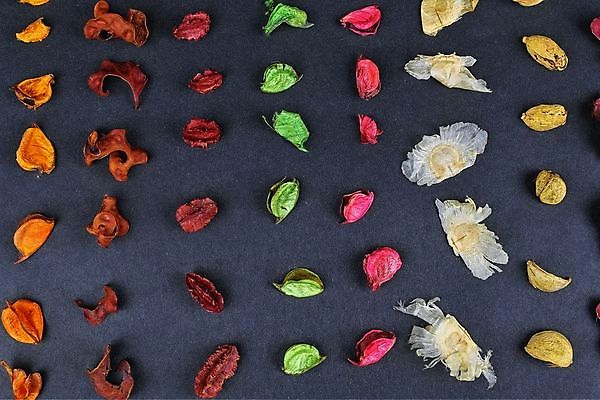 포토 JPG 해외이미지 식물 전통 디자인 계절 열매 꽃 백그라운드 컨셉 크리스마스 꽃무늬 자연 탁자 건조 미술 사람없음 장식 빨간색 초록색 갈색 축제 펼침 소나무 신용카드 황금 선택 숲 배열 향기 냄새 원뿔 내추럴 해외포토 도형 나무 기념일 컬러 가구 무늬 모션 문화예술 금융 생태계 파일형식 이미지허브