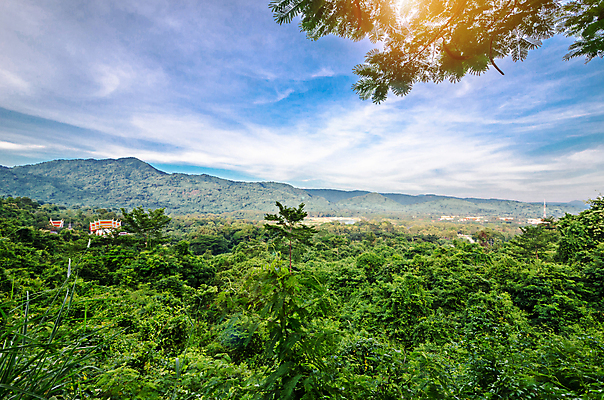 포토 JPG 해외이미지 나무 구름 여행 밭 태국 자연 하늘 날씨 산 풍경 사람없음 야외 초록색 여름 햇빛 태양 환경 맑음 봄 시골 숲 땅 언덕 장면 해외포토 자연요소 식물 계절 아시아 컬러 농업 생태계 파일형식 이미지허브