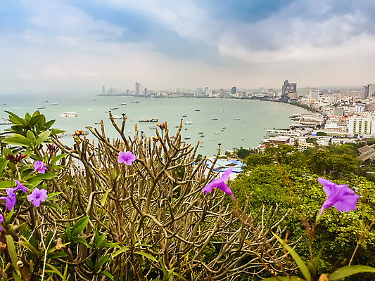 포토 JPG 해외이미지 나무 식물 꽃 아시아 모래 파도 바다 여행 곡선 건축양식 파타야 태국 자연 하늘 휴가 휴식 풍경 사람없음 야외 건물 물 여름 파란색 도시풍경 햇빛 태양 나뭇가지 도시 만 뜨거움 보트 휴양지 엽서 장면 포트 타운 해외포토 자연요소 건축물 계절 건축 나라 선 컬러 컨셉 배_교통 장소 편지 생태계 파일형식 이미지허브
