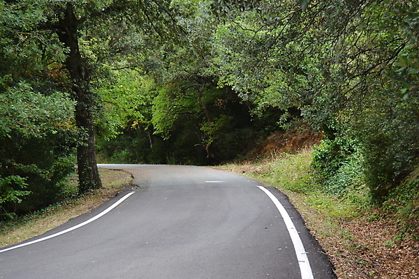 포토 JPG 해외이미지 나무 식물 공원 도로 길 여행 백그라운드 교통시설 모션 자동차 자연 풍경 사람없음 야외 초록색 여름 운전 시골 고속도로 숲 아스팔트 속도 방법 해외포토 계절 공공시설 육상교통 컬러 교통 시설 생태계 파일형식 이미지허브