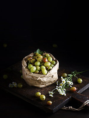 포토 JPG 해외이미지 꽃 사람없음 초록색 종이봉투 담기 구스베리 카피스페이스 해외포토 식물 열매 컬러 모션 봉투 공백 파일형식 이미지허브