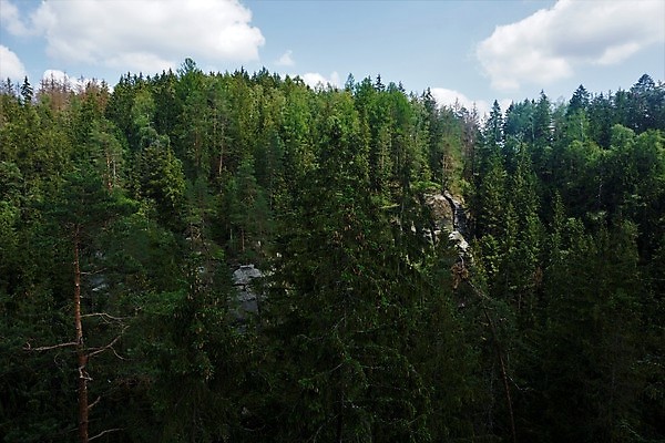 포토 JPG 해외이미지 나무 유럽 길 여행 자연 휴가 휴식 독일 국립공원 풍경 사람없음 야외 여름 계곡 산책 절벽 하이킹 시골 황무지 숲 스위스 언덕 암초 사암 해외포토 식물 계절 공원 나라 컨셉 레저 돌_바위 생태계 파일형식 이미지허브