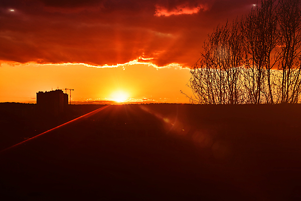 포토 JPG 해외이미지 나무 구름 디자인 외관 실루엣 바다 여행 백그라운드 오렌지 일러스트 비즈니스 자연 하늘 지붕 파노라마 풍경 사람없음 야외 건물 빛 도시풍경 컬러풀 햇빛 태양 평화 일출 탑 보라색 황혼 일몰 새벽 도시 황금 도심 야간 저녁 옥상 타운 연립주택 수평선 해외포토 자연요소 식물 건축물 컬러 컨셉 과일 주택 촬영기법 노을 생태계 파일형식 이미지허브