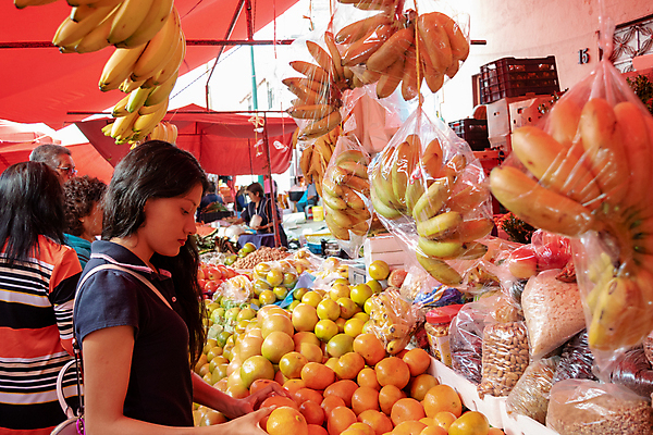 포토 JPG 해외이미지 잡화 음식 농업 다이어트 토마토 채소 오렌지 과일 자연 오이 선반 씨앗 한명 서기 빨간색 초록색 쇼핑 농장 세일 상점 식사 샐러드 신선 시장 구매 상품 쇼핑몰 고객 양배추 날것 소매 슈퍼마켓 매각 채식주의자 체크리스트 해외포토 식물 1 산업 컬러 가구 모션 건강 사람 생태계 채식 파일형식 이미지허브