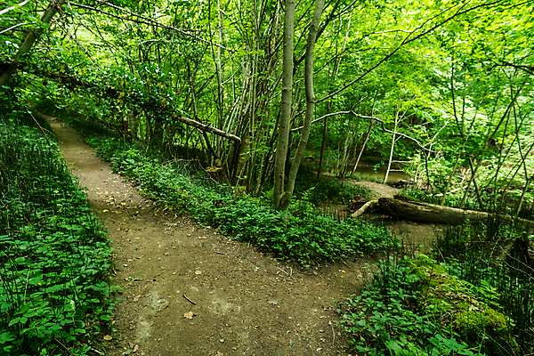 포토 JPG 해외이미지 호수 여행 잎 자연 휴가 휴식 사람없음 야외 물 여름 환경 골짜기 맑음 폭포 하이킹 흐름 에너지 가을 조약돌 바위 물방울 시골 개울 보호 편안함 시원함 분무기 평형 바이에른 해외포토 자연요소 식물 계절 컨셉 레저 날씨 독일 강 수영 돌_바위 감각 생태계 파일형식 이미지허브