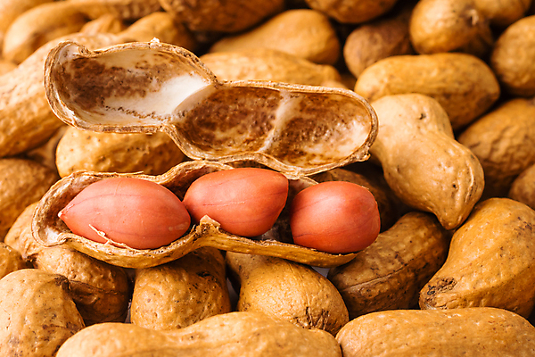 포토 JPG 해외이미지 식물 음식 백그라운드 재료 자연 건조 건강 씨앗 사람없음 빨간색 갈색 쌓기 견과류 껍질 신선 오픈 그룹 맛 먹기 유기농 알맹이 날것 땅콩 흙더미 내추럴 꼬투리 땅바닥 채식주의자 해외포토 웰빙 컬러 컨셉 모션 바닥 흙 생태계 채식 파일형식 더미 이미지허브