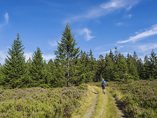 포토 JPG 해외이미지 나무 구름 남자 도로 길 여행 백그라운드 곡선 배낭 자연 하늘 산 사람 풍경 사람없음 야외 초록색 여름 파란색 걷기 환경 맑음 나뭇가지 시골 숲 언덕 체코 내추럴 굴곡 방법 하이커 가문비나무 해외포토 자연요소 식물 계절 유럽 선 컬러 가방 교통시설 모션 날씨 생태계 파일형식 이미지허브