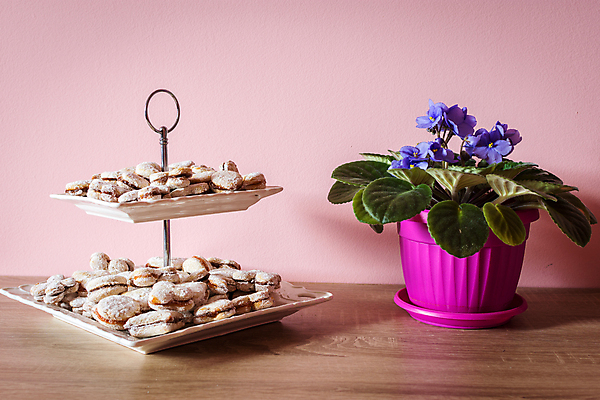 포토 JPG 해외이미지 전통 접시 꽃 유럽 음식 백그라운드 크리스마스 디저트 요리 사람없음 쿠키 주방 빵집 견과류 신선 달콤 맛 잼 가루 설탕 굽기 질감 반죽 호두 레시피 버터 성분 토막 바닐라 세르비아 핸드메이드 해외포토 식물 식기 기념일 나라 컨셉 상점 소스_음식 구이 파일형식 이미지허브