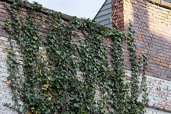 포토 JPG 해외이미지 벽 건축양식 주택 사람없음 햇빛 문 해외포토 건축 건물 태양 파일형식 이미지허브