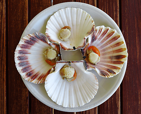 포토 JPG 해외이미지 접시 음식 바다 백그라운드 자연 탁자 조개 건강 어류 사람없음 목재 식사 저녁식사 이탈리아 껍질 굴 흰색 신선 오픈 그릴 굽기 해산물 책상 날것 가리비 내추럴 점심식사 해외포토 나무 식기 유럽 컬러 가구 재료 주방용품 어패류 수중동물 구이 생태계 파일형식 이미지허브