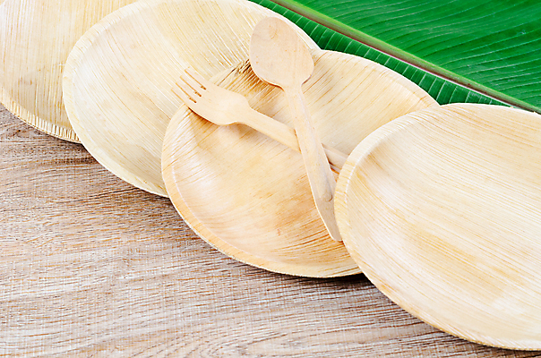 포토 JPG 해외이미지 잎 실내 사람없음 자연보호 에코 친환경 일렬 에코라이프 나무숟가락 나무접시 나무포크 친환경제품 제로웨이스트 나무배경 해외포토 식물 라이프스타일 접시 백그라운드 포크 자연 내부 환경 숟가락 그린캠페인 보호 사회이슈 파일형식 이미지허브