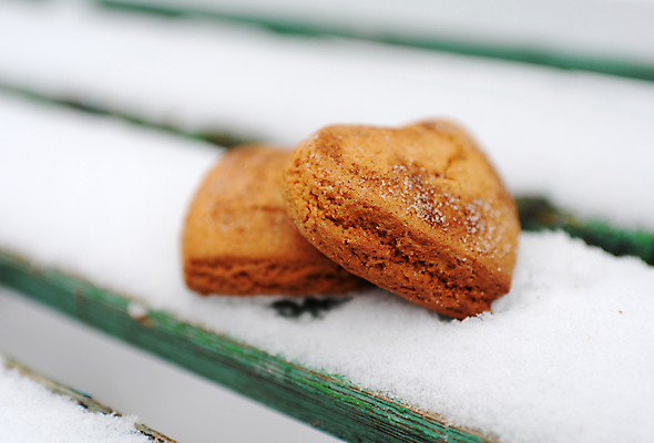 포토 JPG 해외이미지 모양 음식 백그라운드 크리스마스 겨울 휴가 디저트 발렌타인데이 사랑 사람없음 파란색 갈색 쿠키 흰색 하트 달콤 심볼 고립 소셜네트워크 시나몬 스타일 해외포토 계절 기념일 감정 컬러 데이이벤트 맛 파일형식 이미지허브