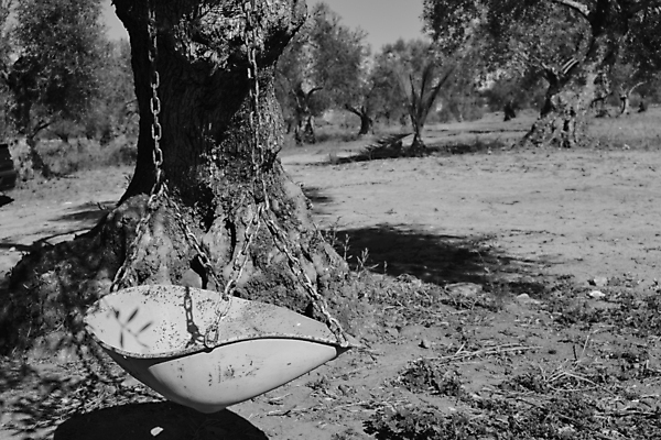 포토 JPG 해외이미지 나무 계절 공원 어린이 밧줄 스포츠 여행 백그라운드 겨울 자연 놀이 하늘 휴가 흑백 사람 풍경 잔디 사람없음 야외 목재 초록색 물 여름 빛 환경 검은색 축구 추위 가을 흰색 놀이터 숲 사인 그네 내추럴 혼자 해외포토 자연요소 식물 공공시설 줄 컬러 재료 촬영기법 구기 생태계 파일형식 이미지허브