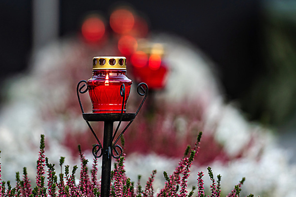 포토 JPG 해외이미지 전통 공원 꽃 종교 선 백그라운드 컨셉 오렌지 촛불 유리 불 휴가 이벤트 사람없음 야외 장식 빨간색 빛 반사 노란색 어둠 기도 램프 축하 야간 소프트포커스 신성 빛망울 연소 광 구성 보유 숭배 신앙심 왁스 줄서기 추모 화상 해외포토 자연요소 식물 공공시설 컬러 과일 초 모션 재질 조명 촬영기법 상처 파일형식 이미지허브