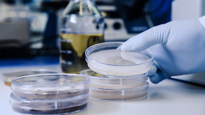 포토 JPG 해외이미지 손 문화 과학 장갑 컨셉 생물 실험 사람없음 치료 스터디 약 장비 성장 실험실 바이러스 질병 생명공학 분석 생물학 감염 미생물 조제 혁명 개발 식민지 피펫 해외포토 잡화 교육 의학 실험기구 신체부위 학습 만들기 파일형식 이미지허브