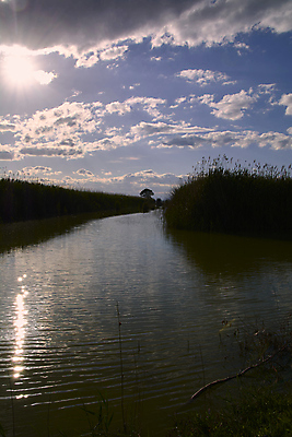 포토 JPG 해외이미지 주간 식물 동물 외관 응시 공원 호수 여행 컨셉 날개 비즈니스 자연 조류 추상 오리 파노라마 갈대 미술 풍경 사람없음 야외 물 파란색 숫자 마을 침묵 흰색 스페인 습지 왜가리 심볼 시작 생태계 조용 천국 멀리 석호 발렌시아 보컬 보호구역 해외포토 자연요소 문자 시선 공공시설 유럽 컬러 무늬 문화예술 촬영기법 소리 구역 파일형식 이미지허브