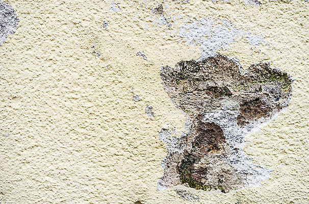 포토 JPG 해외이미지 벽 건축양식 표면 주택 건설업 사람없음 야외 물 인테리어 손상 습기 젖음 수리 환경보전 미생물 박테리아 알레르기 곰팡이 복원 석고 썩음 업그레이드 위생관리 해외포토 자연요소 디자인 건축 산업 컨셉 의학 생물 관리 건물 질병 사회이슈 파일형식 이미지허브