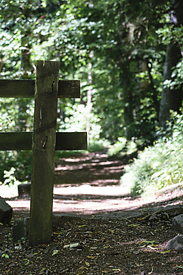 포토 JPG 해외이미지 나무 식물 계절 공원 유럽 길 백그라운드 잎 자국 자연 파노라마 풍경 경사 사람없음 야외 목재 초록색 여름 빛 울타리 햇빛 태양 환경 맑음 흙 나뭇가지 시골 숲 입장 언덕 대문 먼지 일반 내추럴 단절 루트 생태학 선로 해외포토 자연요소 공공시설 교육 나라 컬러 재료 날씨 촬영기법 담장 문 생태계 파일형식 이미지허브