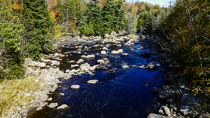 포토 JPG 해외이미지 나무 여행 백그라운드 이동 잎 모션 자연 풍경 사람없음 야외 목재 초록색 물 파란색 강 반사 평화 침묵 하이킹 흐름 가을 바위 신선 개울 고독 숲 암초 내추럴 화강암 해외포토 자연요소 식물 계절 감정 컬러 컨셉 재료 레저 소리 암석 돌_바위 생태계 파일형식 이미지허브